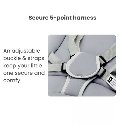 Secure 5-point harness with adjustable buckle and straps on a white background